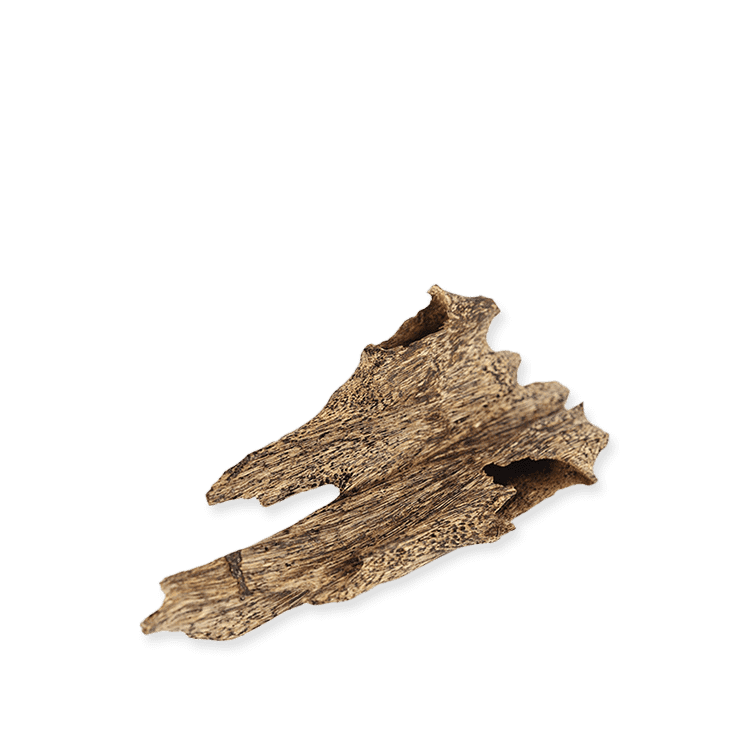 Hekayh Thai Trat Oud - 12g