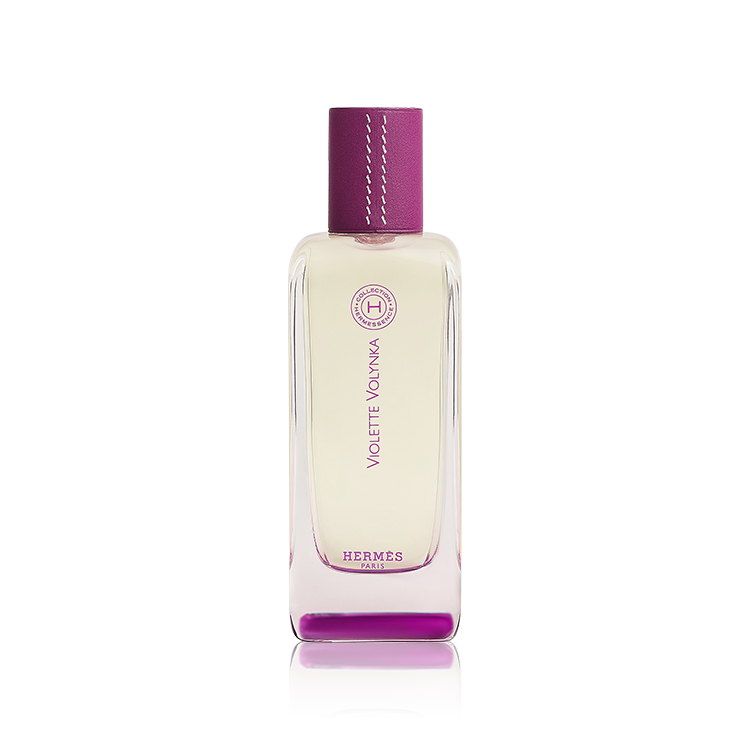 21gs100945 Hermes Violette Volynka