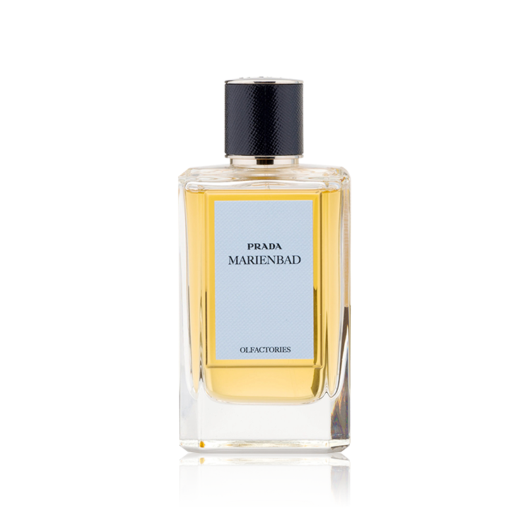 Olfactories Marienbad U
