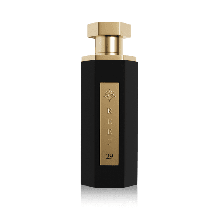 Reef 29 100 Ml Fdn