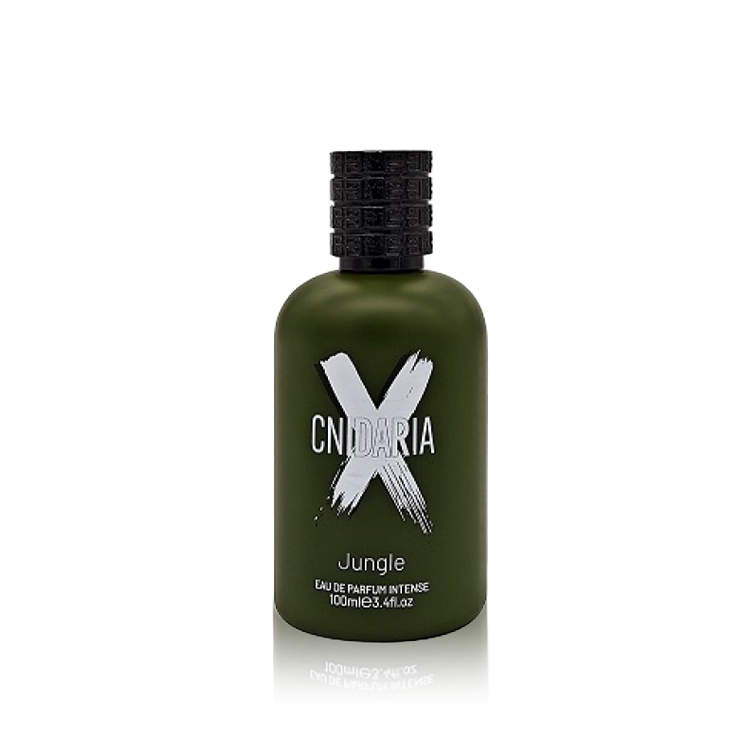 Sindaria X Jungle