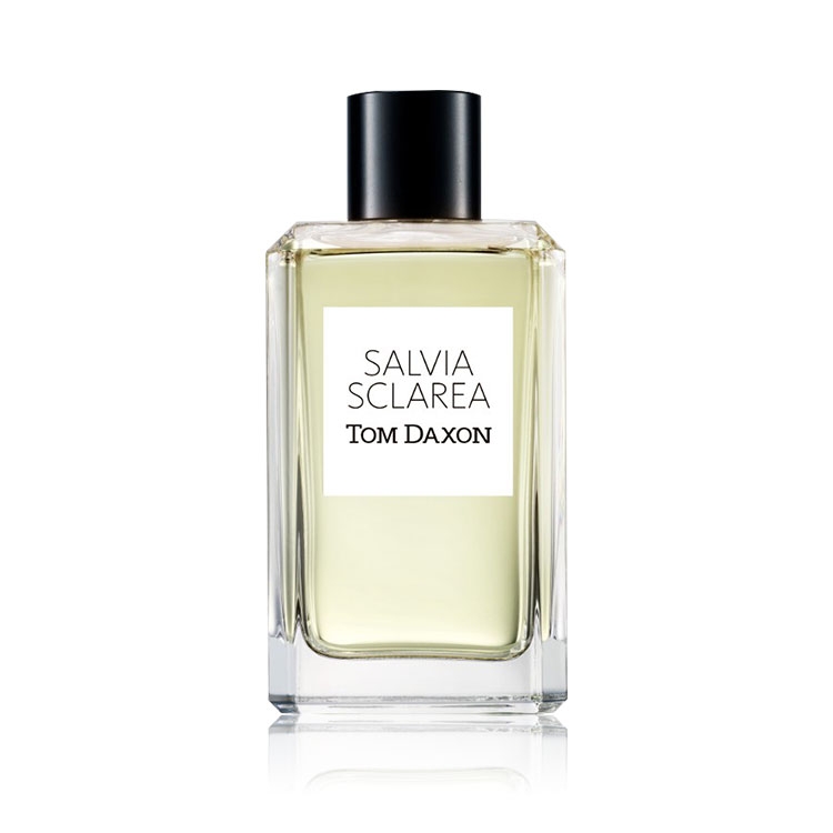 Salvia Sclarea