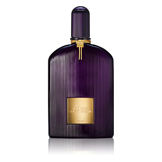 Velvet Orchid